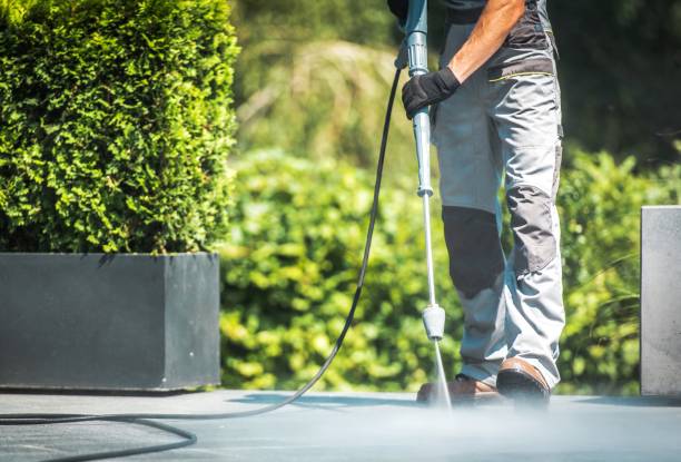 Best Driveway Pressure Washing  in Washingtonville, NY
